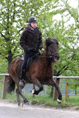 lb1d4492 grennderung