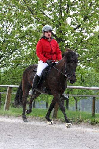 lb1d4493 grennderung