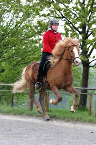 lb1d4497 grennderung