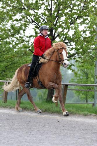 lb1d4498 grennderung