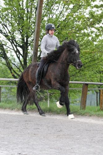 lb1d4499 grennderung