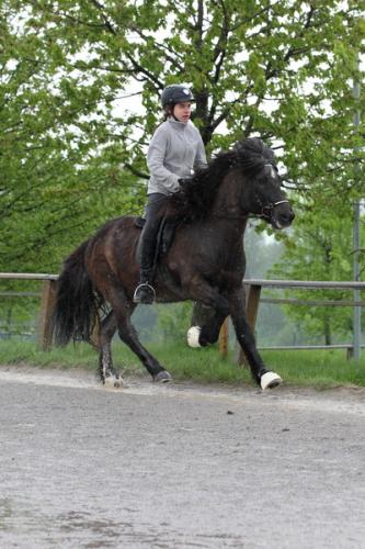 lb1d4500 grennderung