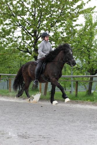 lb1d4501 grennderung