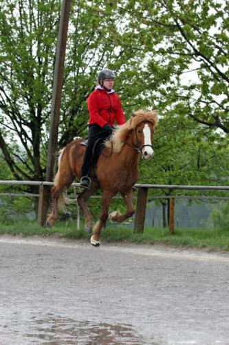 lb1d4502 grennderung