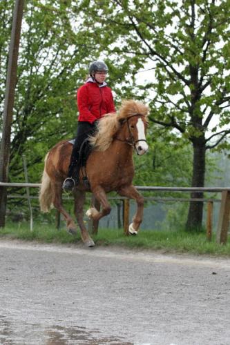 lb1d4503 grennderung