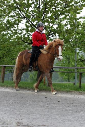 lb1d4504 grennderung