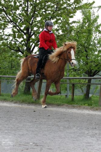 lb1d4505 grennderung