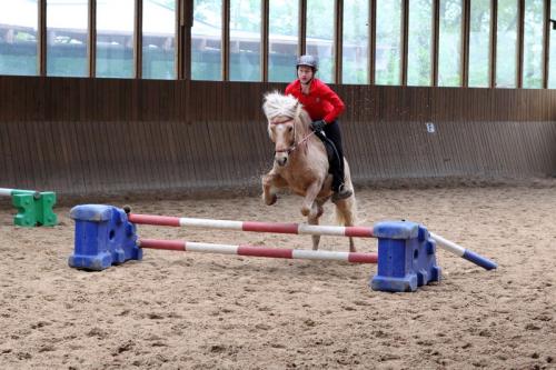 lb1d4525 grennderung