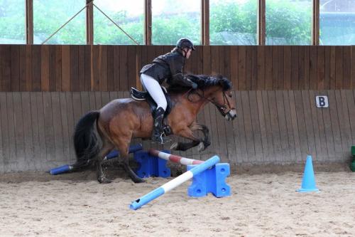 lb1d4529 grennderung