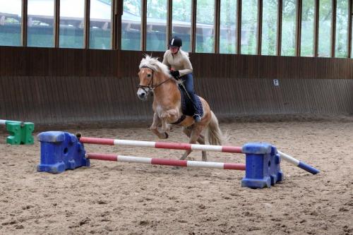 lb1d4536 grennderung