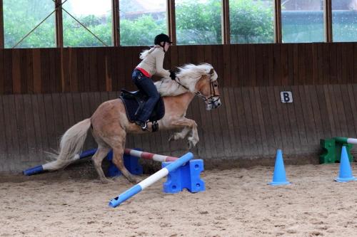 lb1d4543 grennderung