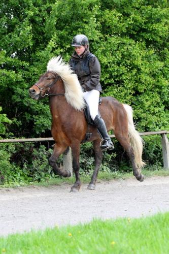 lb1d4662 grennderung