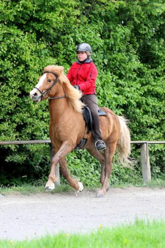 lb1d4665 grennderung