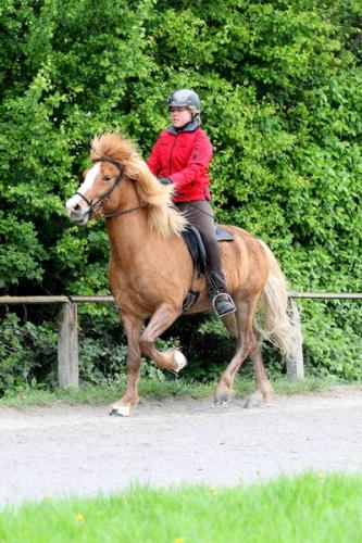 lb1d4666 grennderung