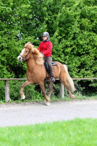 lb1d4667 grennderung