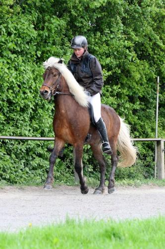 lb1d4668 grennderung