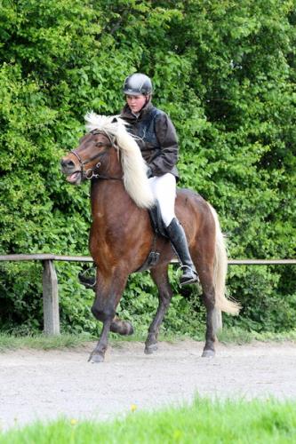 lb1d4669 grennderung