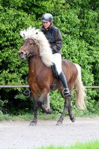 lb1d4670 grennderung