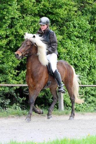 lb1d4671 grennderung