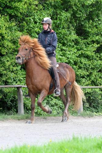 lb1d4672 grennderung