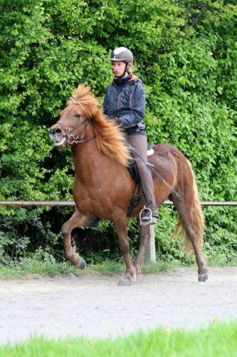 lb1d4673 grennderung