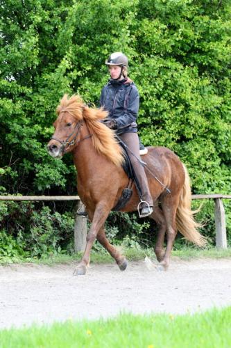 lb1d4674 grennderung