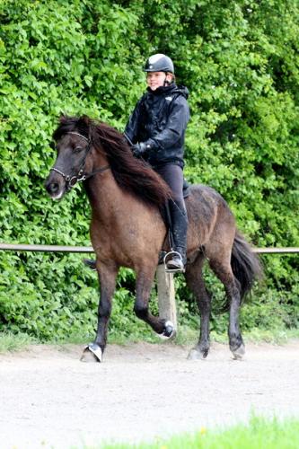 lb1d4675 grennderung