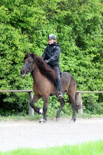 lb1d4676 grennderung