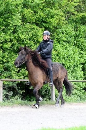 lb1d4677 grennderung