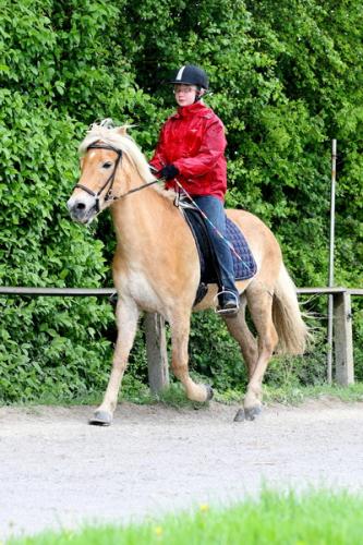 lb1d4678 grennderung