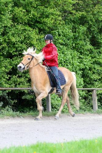 lb1d4680 grennderung