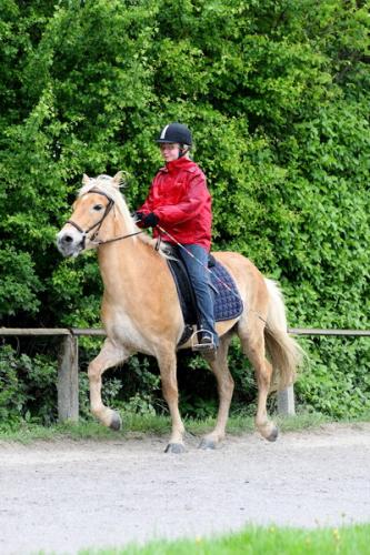 lb1d4681 grennderung