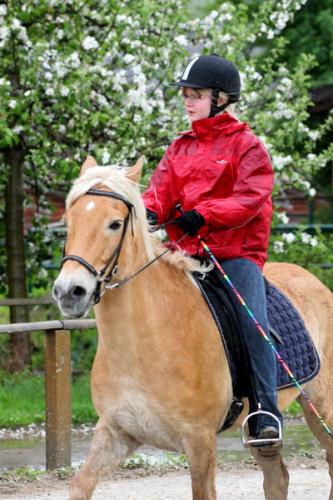 lb1d4682 grennderung