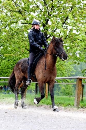 lb1d4684 grennderung