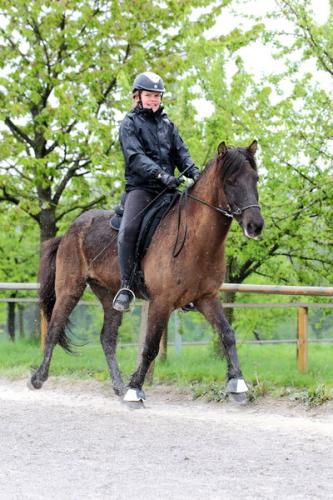 lb1d4685 grennderung