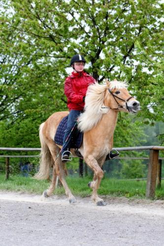 lb1d4686 grennderung