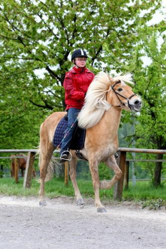 lb1d4687 grennderung