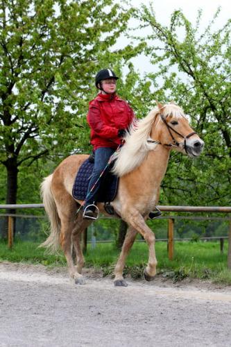 lb1d4688 grennderung