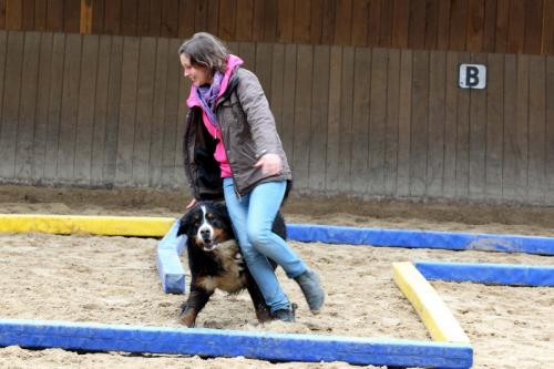 lb1d4692 grennderung