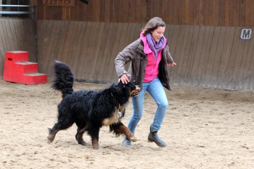 lb1d4693 grennderung