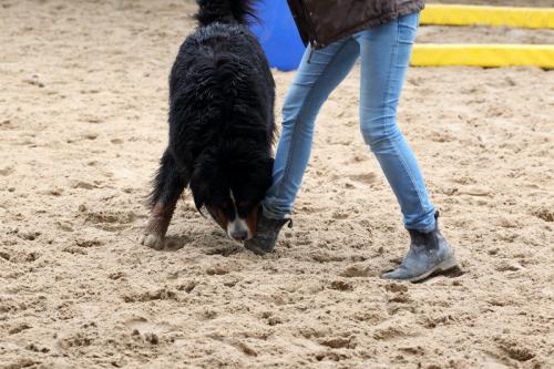 lb1d4694 grennderung