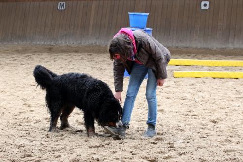 lb1d4695 grennderung