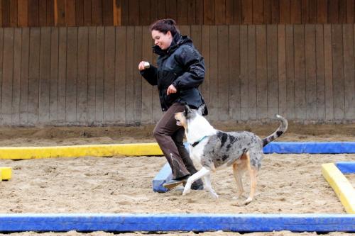 lb1d4701 grennderung