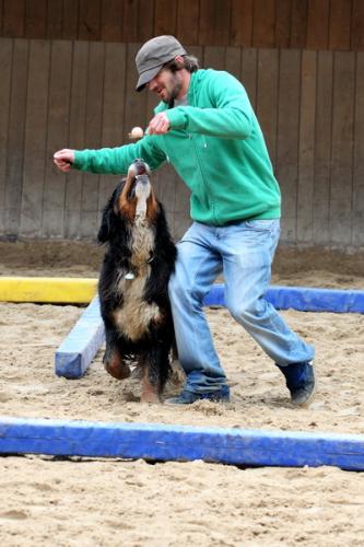 lb1d4704 grennderung