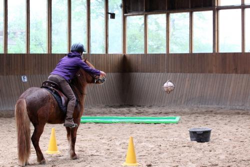 lb1d4708 grennderung