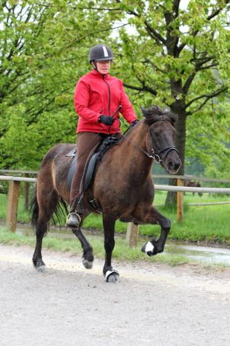 lb1d4719 grennderung