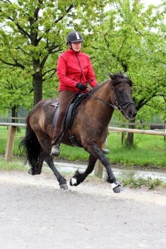 lb1d4720 grennderung