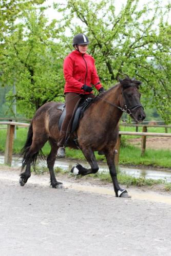 lb1d4721 grennderung