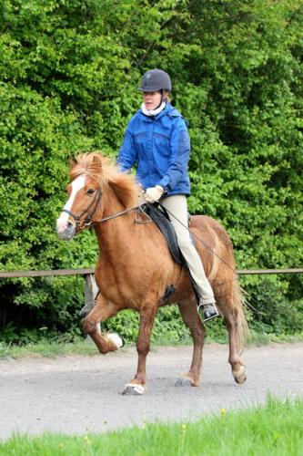 lb1d4723 grennderung