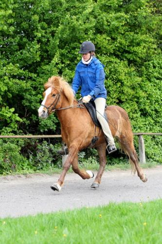 lb1d4724 grennderung